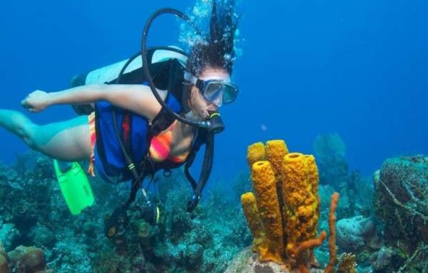 🏄‍♂️ Goa Water Sports Adventure Package – Thrill on the Waves!