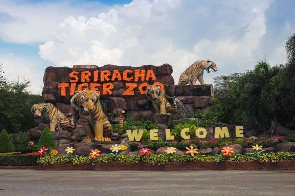 sriracha-tiger-zoo-1
